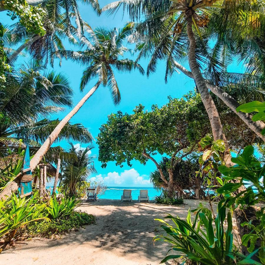 Thundi Sea View Ξενοδοχείο Fulidhoo Εξωτερικό φωτογραφία