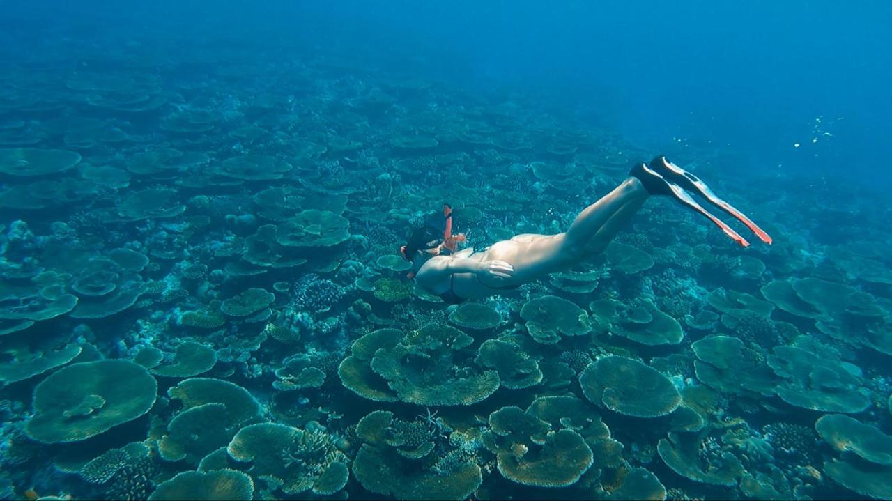 Thundi Sea View Ξενοδοχείο Fulidhoo Εξωτερικό φωτογραφία