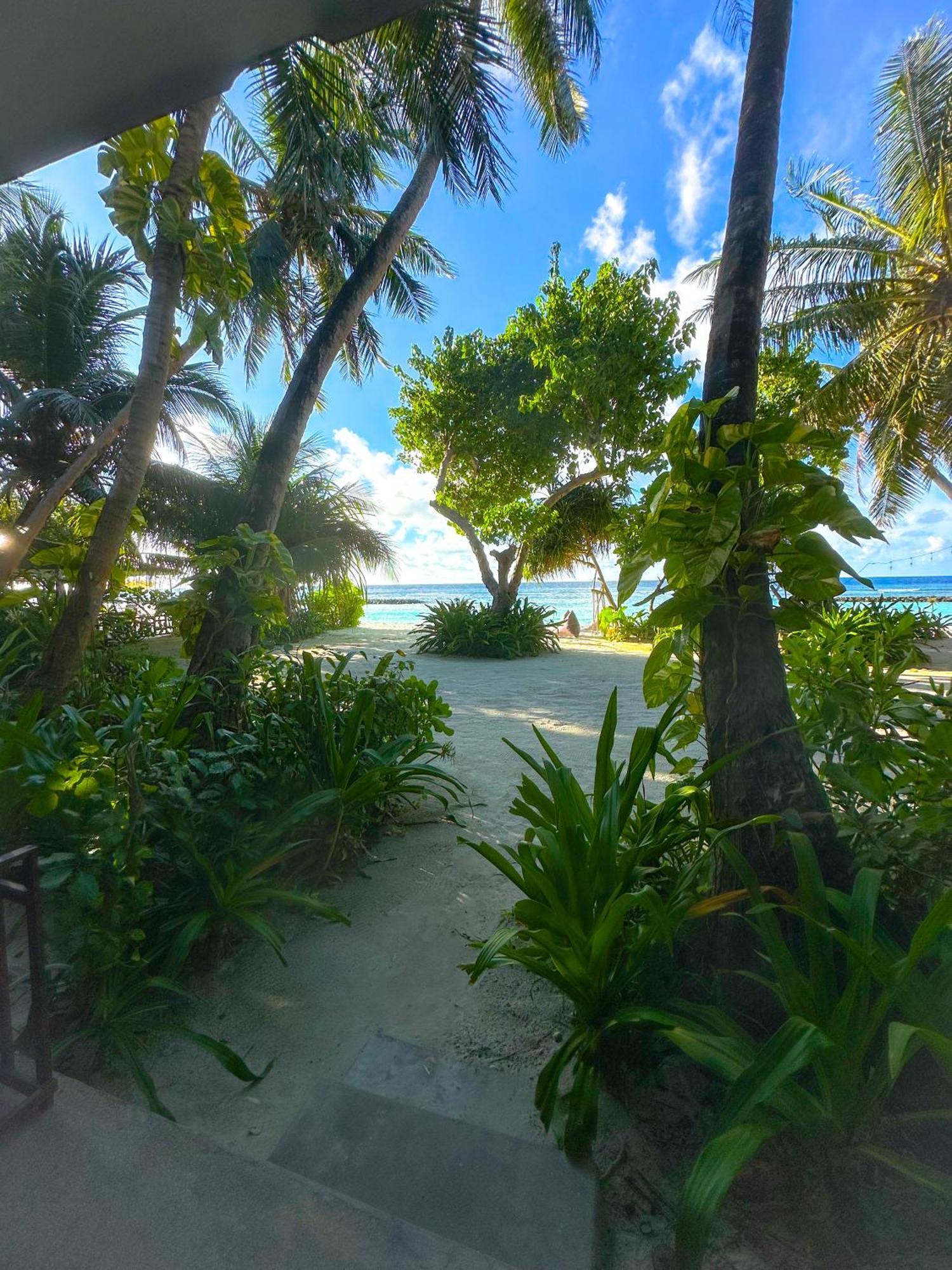 Thundi Sea View Ξενοδοχείο Fulidhoo Εξωτερικό φωτογραφία